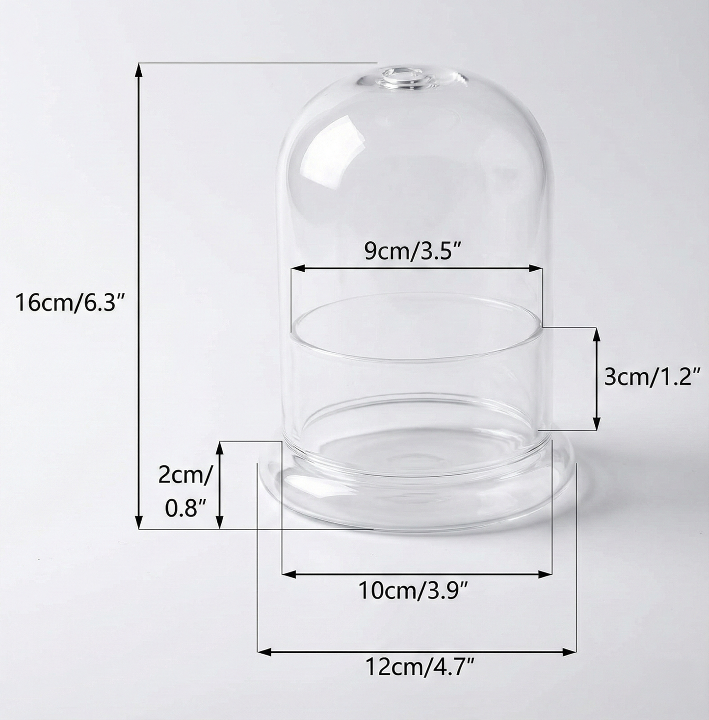 Cloche Terrarium en Verre Ventilée